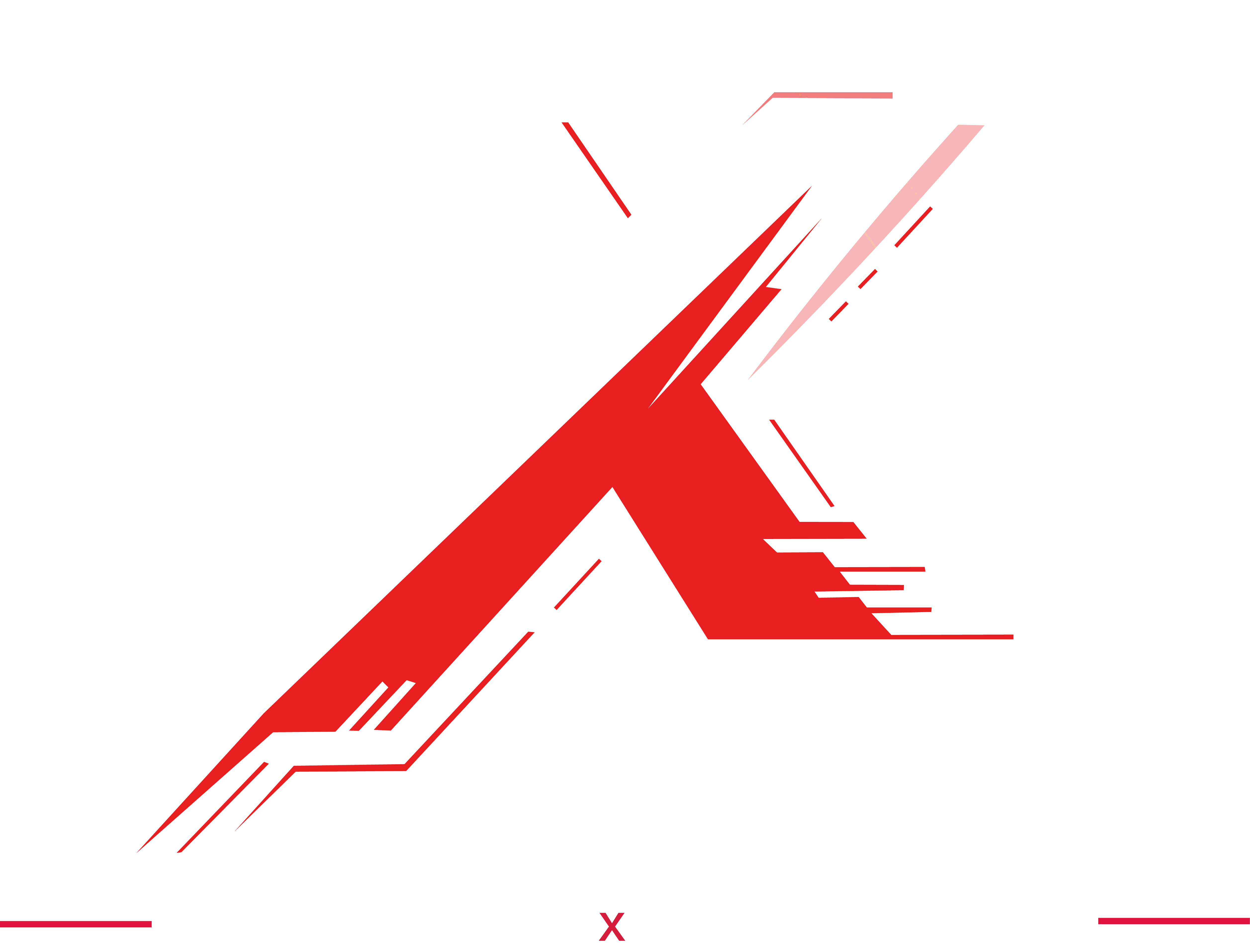 IMGX